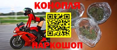 СК Новоалександровск