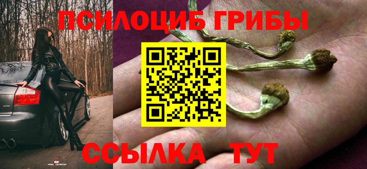 Псилоцибиновые грибы Cubensis  Вход с VPN  Канаш 