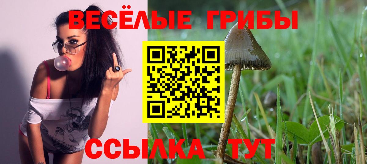 Галлюциногенные грибы ЛСД Канаш